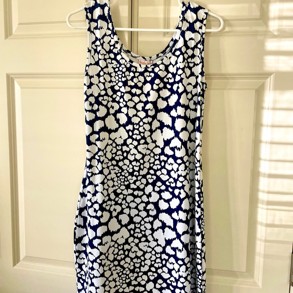 Stylish Blue and White Mini Dress